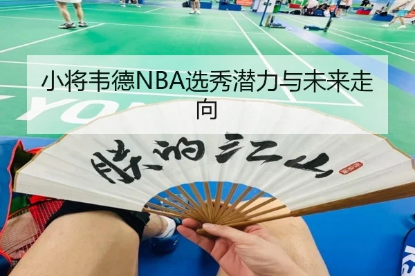 小将韦德NBA选秀潜力与未来走向